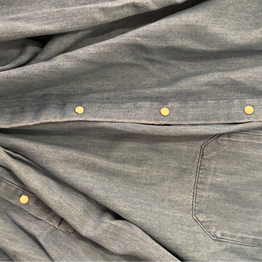Sezane Blue Button Down Shirt with Gold Accents